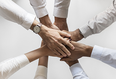 Nonprofit_Management_Stock(Program)