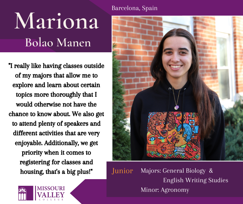 Honors program graphic on the website