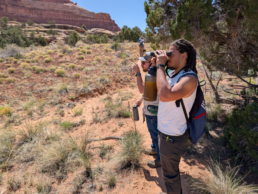 Biology (Bachelor's) Students look through binoculars on a desert trail lined with red rock and grasses.