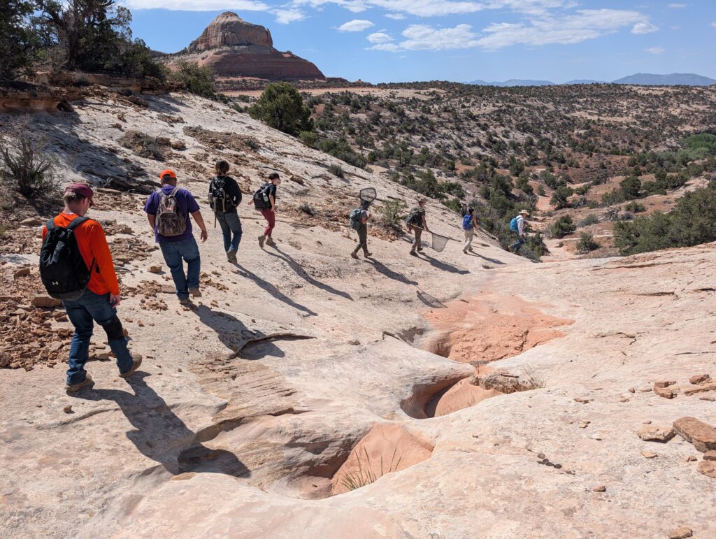 School of Science & Agriculture A line of students hikes across sandstone slickrock toward a distant mesa.