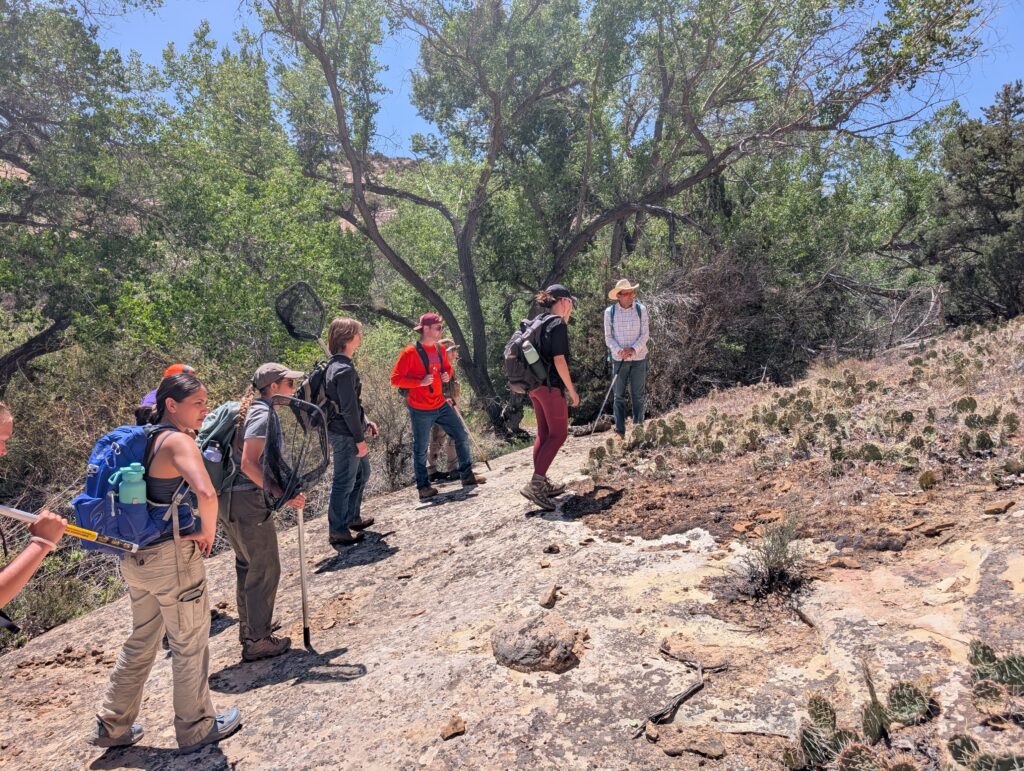 Biology (Bachelor's) Students with backpacks and nets work their way up a rocky, wooded slope.