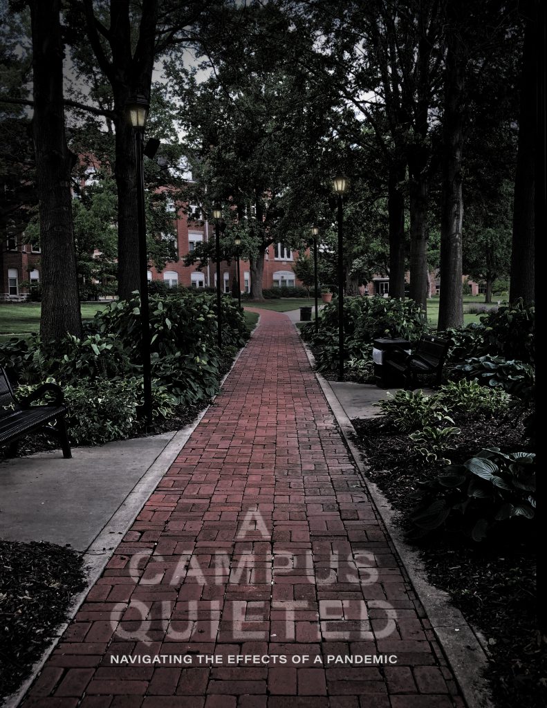 Publications / Viking Views Cover of the 2020 edition of Viking Views Magazine